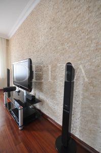 Blasting Stone Living Room Wall Models - Behind the TV Unit